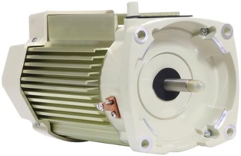 Pentair 356286S WhisperFlo VST/SuperFlo VST Motor without Drive – Superflo Vs Vst
