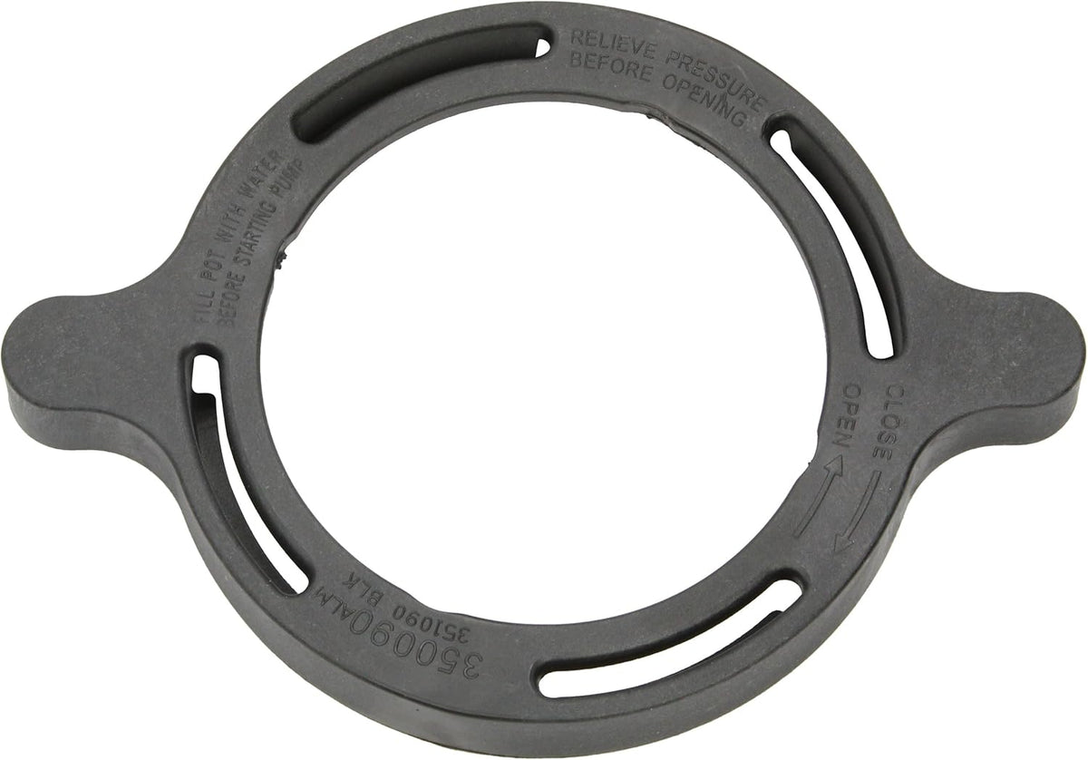 Pentair 351090 SuperFlo Clamp, Ramp & Cam (Black) – Superflo Vs Vst