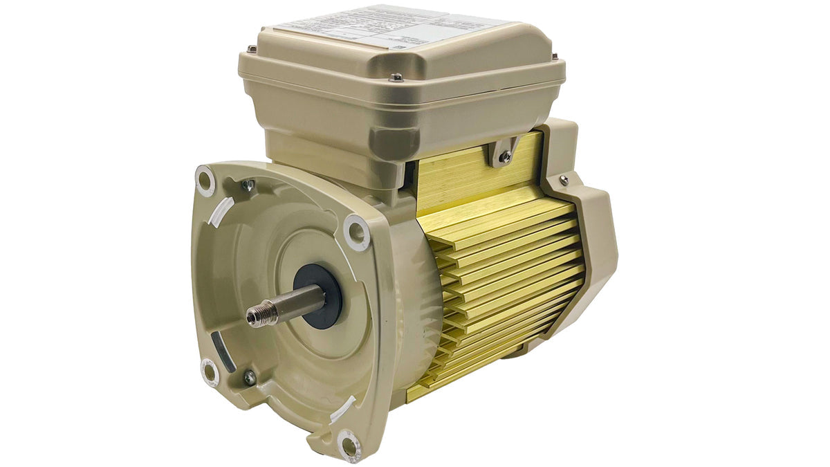 Pentair 354807S 1.5 HP, 3PH, 1SP, WFK-6 Replacement Motor – Whisperflo Pump Parts And Accessories