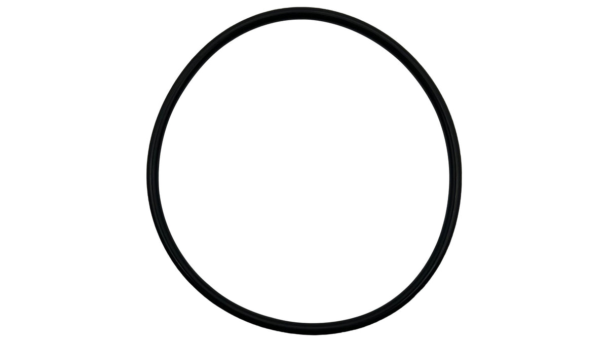 IntelliFloVSF/WhisperFlo VST Pump Diffuser O-Ring - Intelliflo Vs Svrs After June 2016 || 355227Z