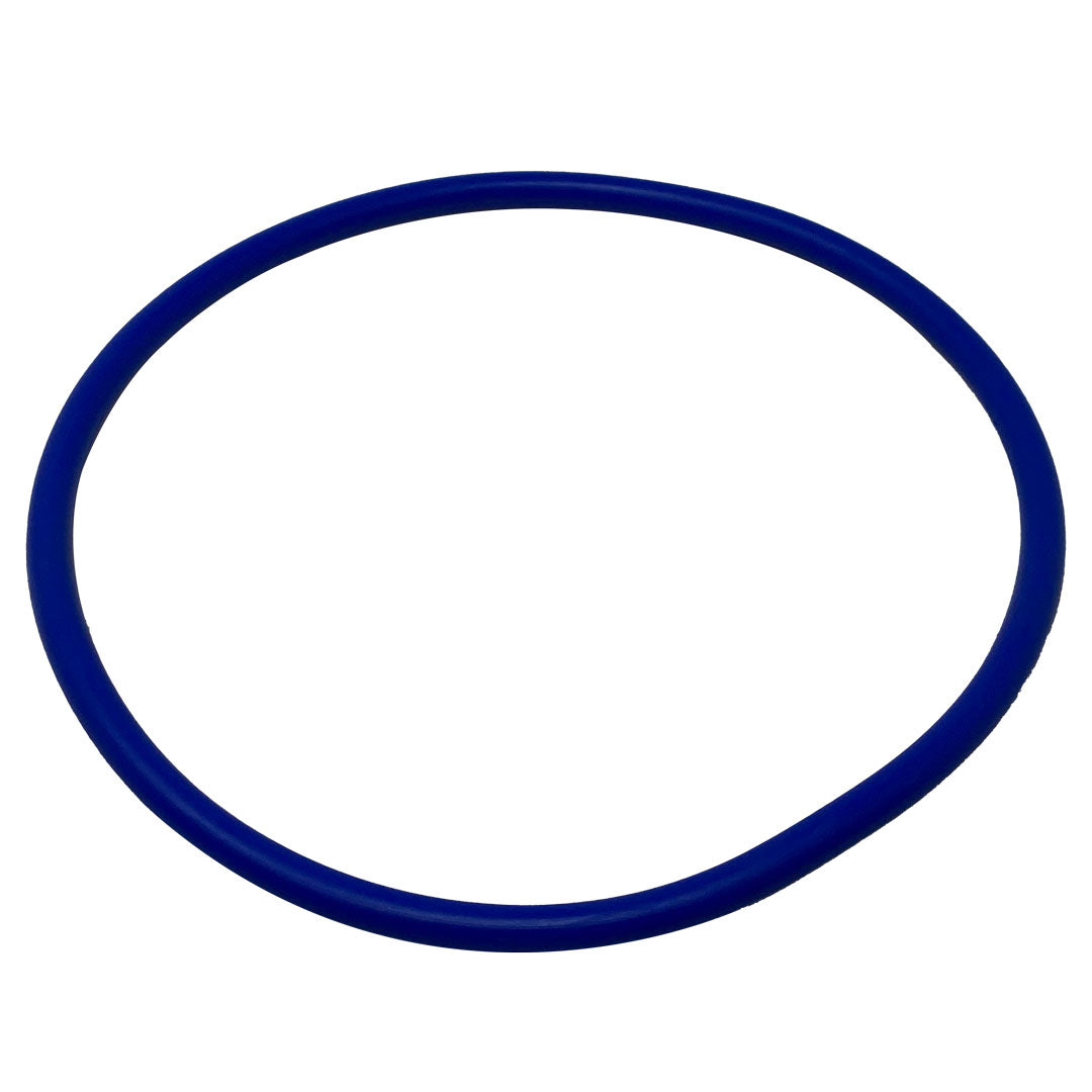 Pentair 356189Z Lid O-Ring â€“ Intellipro 3Hp Pump Parts And Accessories