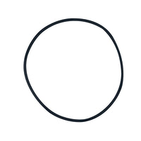Pentair Clean and Clear Plus and FNS Tank O-Ring - Pentair Fullfloxf F ...