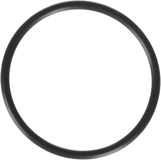 Hayward Booster Pump Union O-Ring - Hayward Booster Pump Parts And Accessories || SPX1495Z1