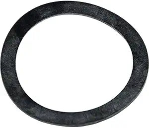 Pentair 2" Bulkhead Gasket for Triton II TR100C/TR140C - Pentair Triton Ii Sid.E. Mount Filter Tr100 No Valve 2 | 154538