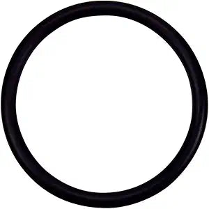 Pentair 274494Z O-Ring 2-332 Valve Adapter â€“ Triton Ii Sid.E. Mount Filter No Valve Tr60 2