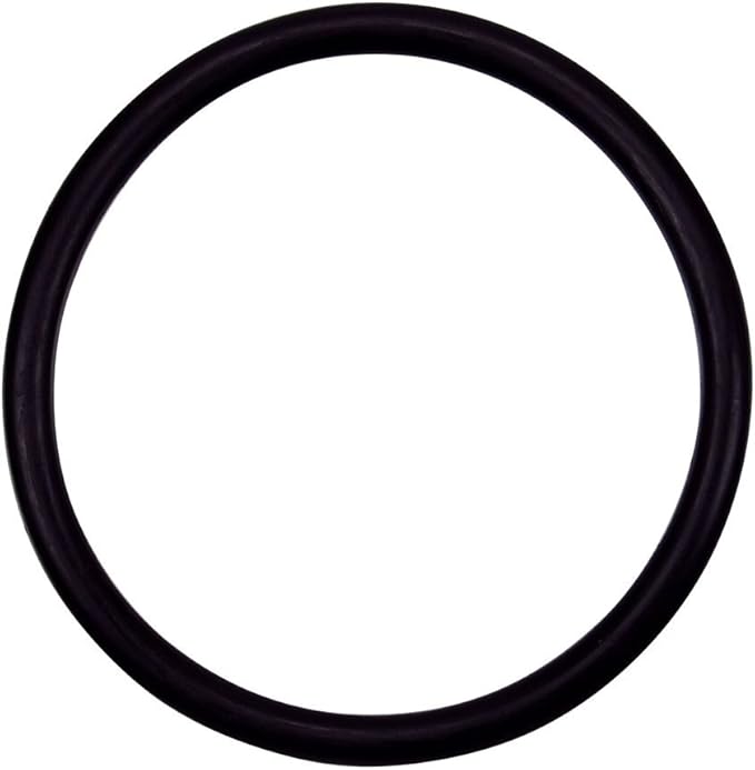 Pentair 154492 OÃ¢â‚¬â€˜Ring 3/16" x 2 5/8" ID â€“ Triton Ii Sid.E. Mount Filter Tr100 No Valve 2