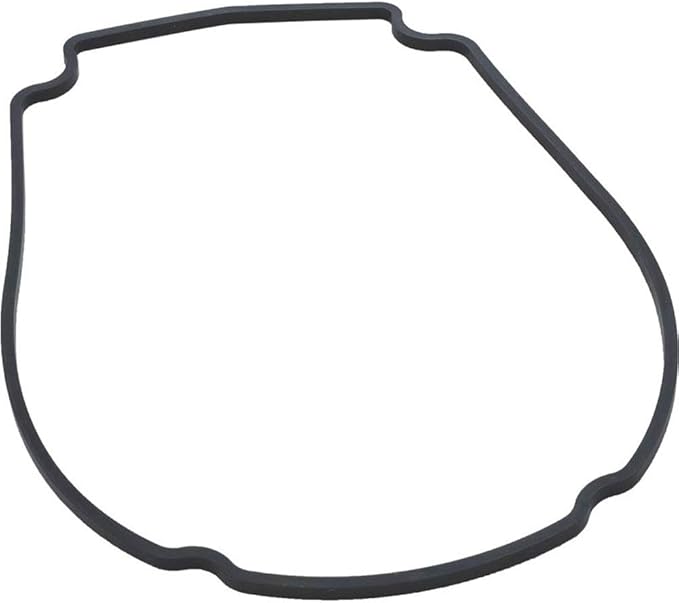 Faceplate Gasket for Mini SVL Champion - Power D.E.Fend.E.R 110 Single Speed Dual Voltage Pump | 806-1400