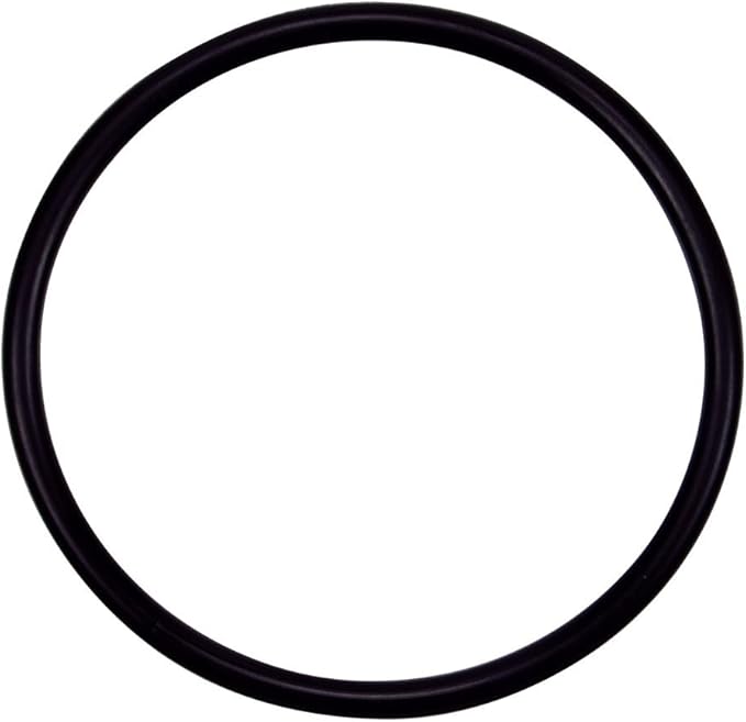 WaterFall Specialty Pump O-Ring, Strainer Pot Flange - Challenger High Flow || 355330