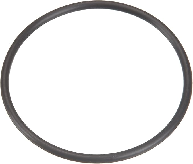 IntelliPro VS Pump O-Ring #2 - Intellipro Variable Speed Pump Pre 2019 Parts And Accessories || U9-362