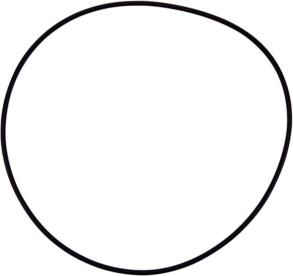 WhisperFlo O-Ring WFE Pump - Whisperflo Pump Parts And Accessories || 071445