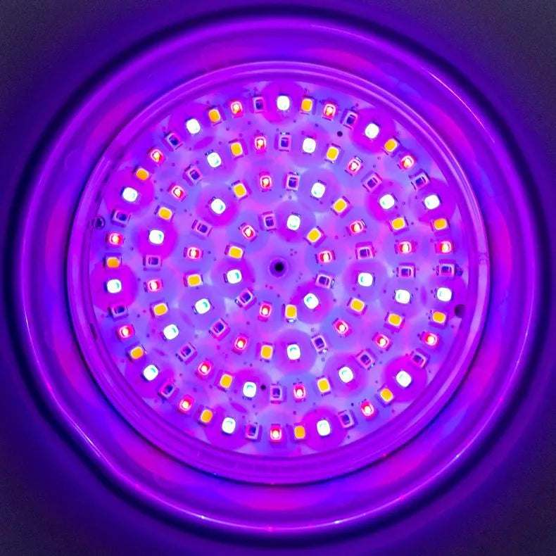 Aquarius Smart Step LED Light