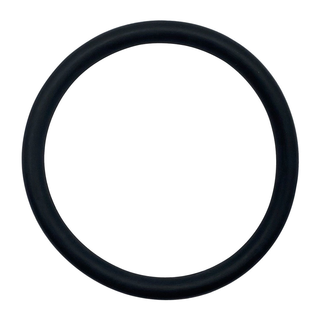 Pentair Upper and Lower Bulkhead O-Ring - Pentair Fns Plus 36 D E Filter | 86006900