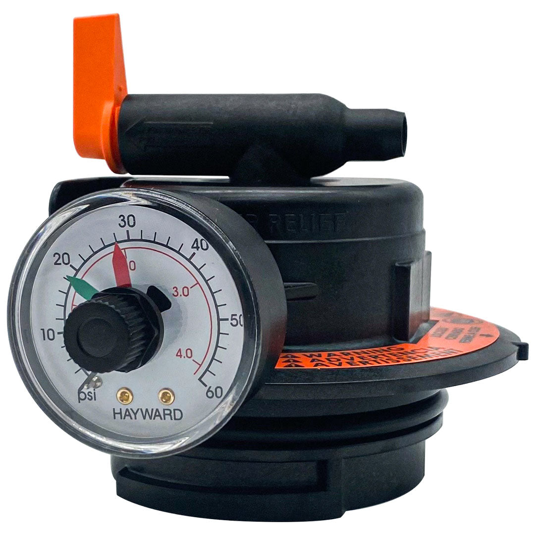 Hayward DE and Cartridge Filter Manual Air Relief Assembly - Hayward 225 Sq Ft Swimclear Multi Element Cartridge Filter | DEX2420MAR2