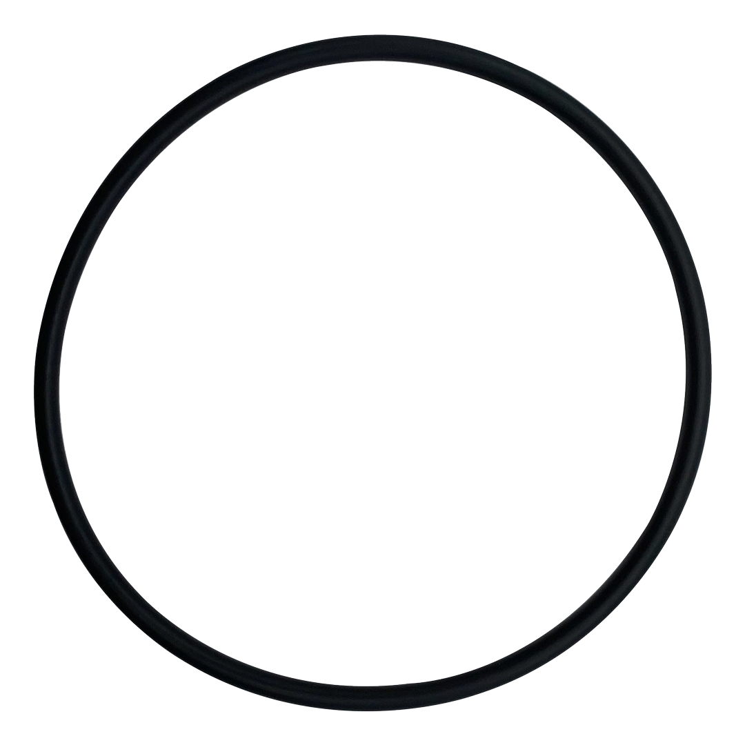 Pentair 192320 Upper Bulkhead O-Ring for 2" DE Filters & Cartridges â€“ Fns Plus 36 D E Filter