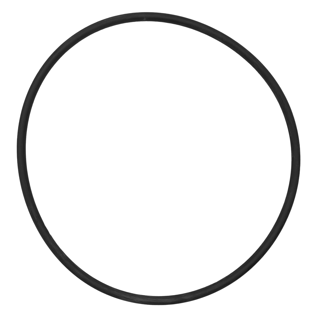 IntelliFloXF/WhisperFloXF VSF/VS Pump Seal Plate O-Ring - Whisperflo Xf || 351446