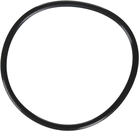 Jandy R0480200 VS FloPro 1.85 HP VS Pump Lid O-Ring â€“ Vs Flopro 0 85 And 1 65 Hp Parts And Accessories