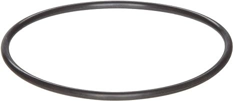 Polaris R0536600 Booster Pump w/ 60 Hz Motor O-Ring, Backplate, PB4-60 â€“ Pb4 60