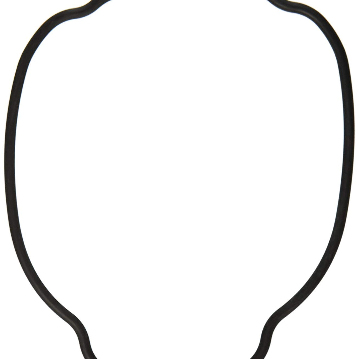 Hayward TriStar VS 900/950 Omni Pump Housing O-ring - Tristar Pump Parts And Accessories || SPX3200T