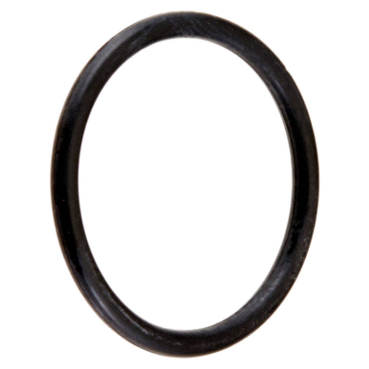 Hayward LOCKING KNOB O-RING Replacement Part - Hayward 50 Sq Ft Star Clear Cartridge Filter | CX250Z7