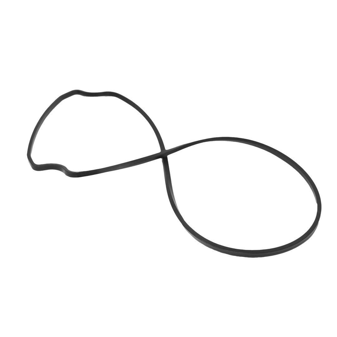 Pentair 357100Z Seal Plate Gasket (Black) â€“ WhisperFlo / IntelliFlo Pumps